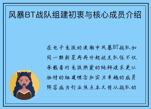 风暴BT战队组建初衷与核心成员介绍